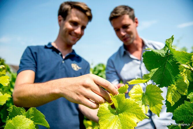 reims-afternoon-tour-champagne-and-family-growers