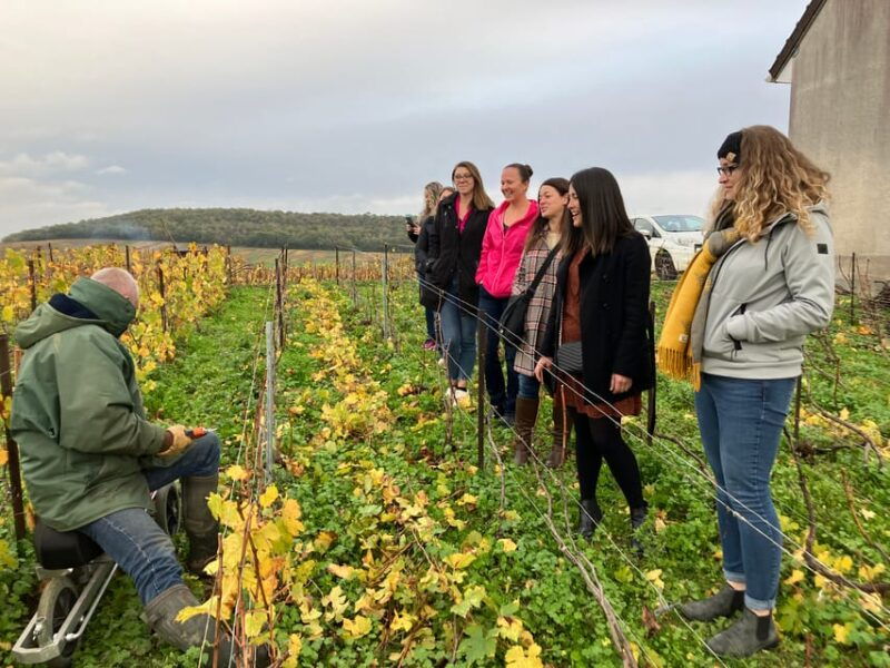 reims-epernay-champagne-day-tour-with-tastings