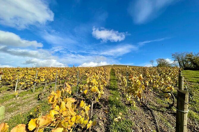Reims or Epernay: Full day Champagne Mumm, family grower & lunch - Practical Details & Tips