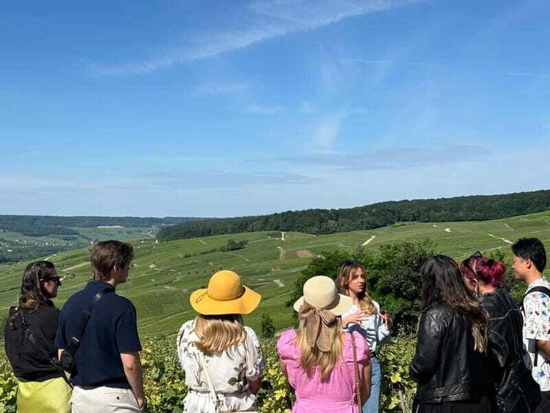 Reims or Epernay: Short day family growers & lunch - Who Will Love This Tour?