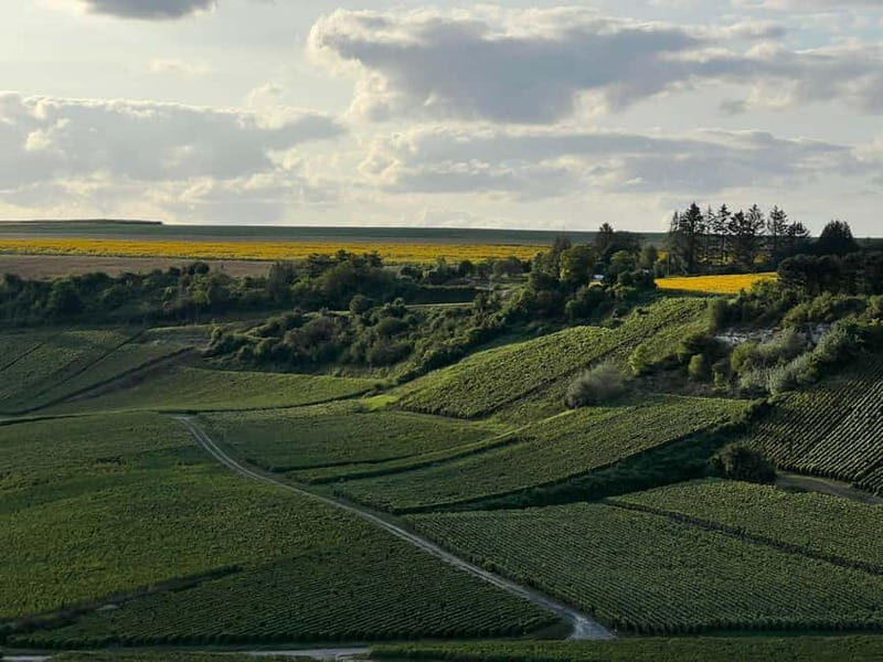 Reims (Pouillon) : Hot Air Balloon Flight with Champagne - FAQ