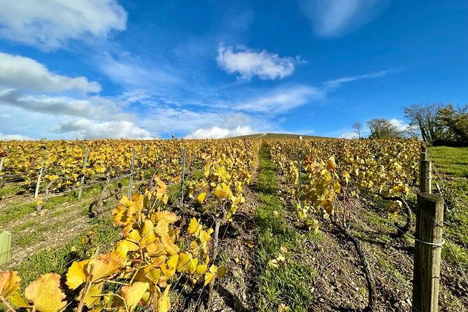 reims-small-group-champagne-tour-with-champagne-tastings-and-lunch