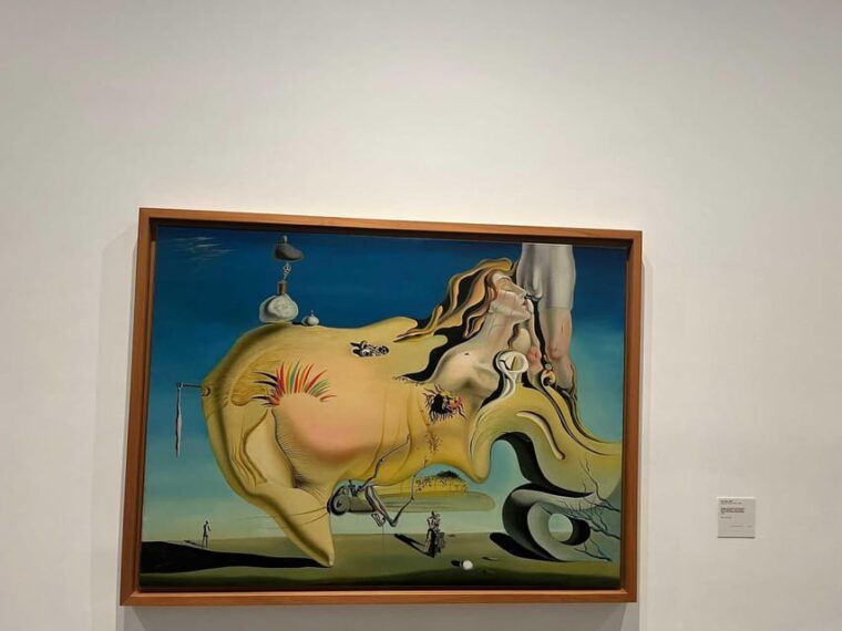 reina-sofia-museum-private-visit-with-art-expert