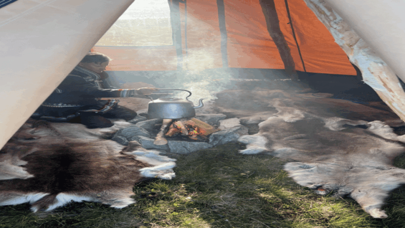 reindeer-and-stories-a-sami-cultural-adventure