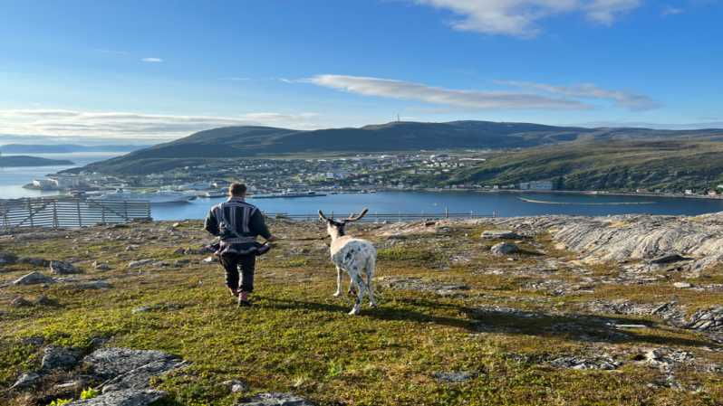 reindeer-and-stories-a-sami-cultural-adventure