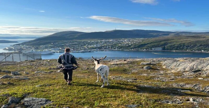 reindeer-and-stories-a-sami-cultural-adventure