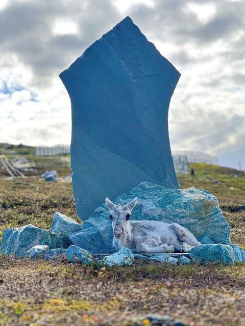 reindeer-and-stories-a-sami-cultural-adventure