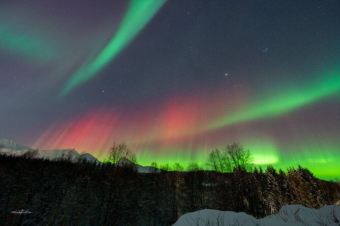 reindeer-feeding-and-sledding-sami-storytelling-night-tour