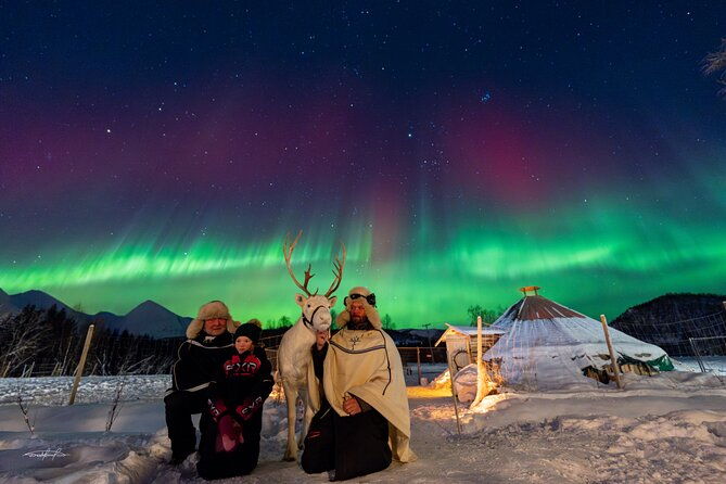reindeer-feeding-and-sledding-sami-storytelling-night-tour
