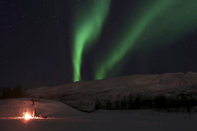 Reindeer feeding & Saami Culture with chance for Northern Lights - Who Should Book This Tour?
