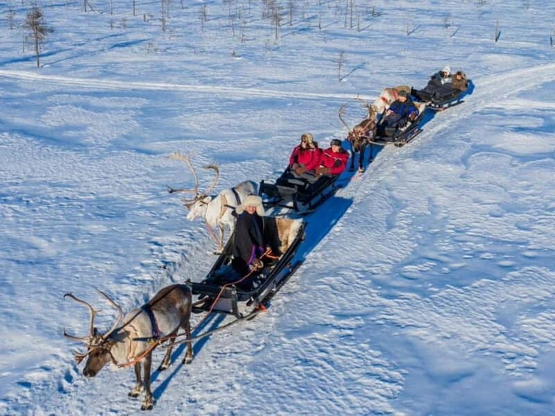 Reindeer Safari at a 200-Year-Old Farm & Long Sled Ride - Who Should Consider This Tour?
