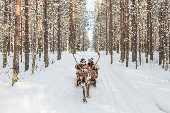 reindeer-safari-in-arctic-wilderness-2