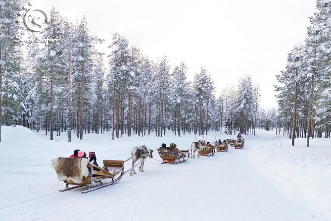 reindeer-safari-in-arctic-wilderness-2