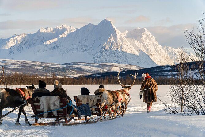 Reindeer Sledding and Feeding with Sami Culture in Tromso. - A Detailed Look at the Experience