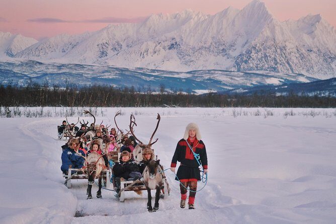Reindeer Sledding and Feeding with Sami Culture in Tromso. - Frequently Asked Questions