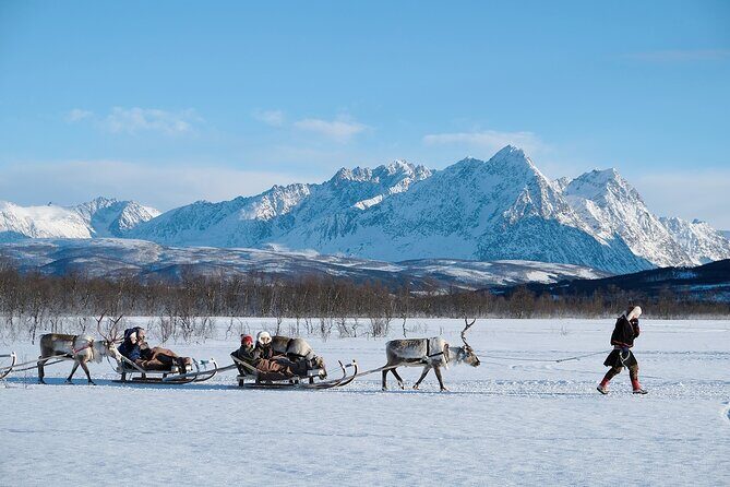 Reindeer Sledding and Feeding with Sami Culture in Tromso. - Final Thoughts
