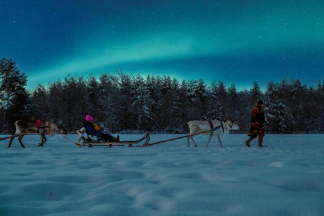 reindeer-sleigh-ride-across-the-night-in-apukka-resort-rovaniemi