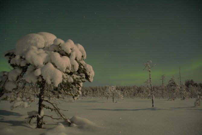 reindeer-sleigh-ride-across-the-night-in-apukka-resort-rovaniemi