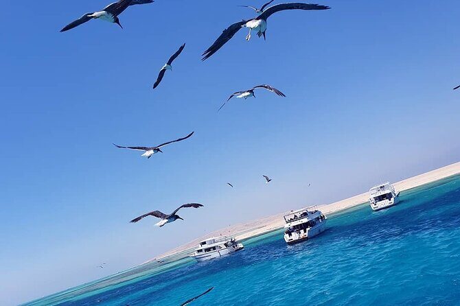 Relax and Snorkel at Orange Island Sea Trip In Hurghada - Practical Tips for Bookers