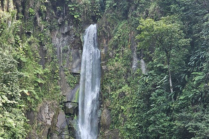 relax-in-hot-springs-and-swim-in-titou-gorge-and-trafalgar-falls