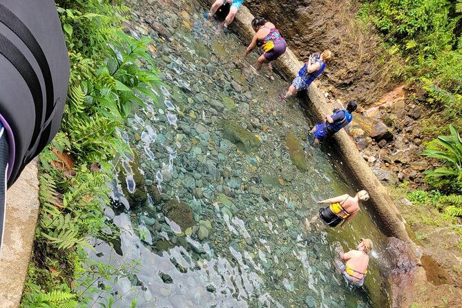 relax-in-hot-springs-and-swim-in-titou-gorge-and-trafalgar-falls