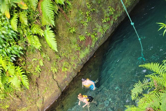 relax-in-hot-springs-and-swim-in-titou-gorge-and-trafalgar-falls