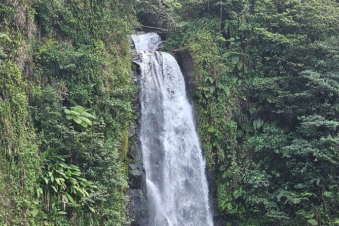 relax-in-hot-springs-and-swim-in-titou-gorge-and-trafalgar-falls