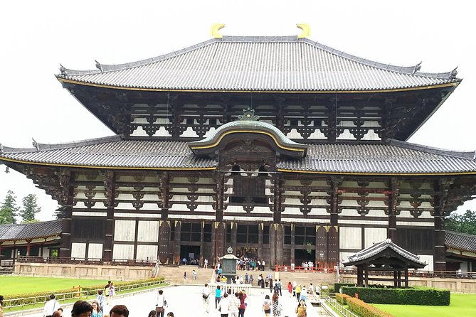 relax-in-nara-deer-park-todai-ji-temple-and-merchants-town