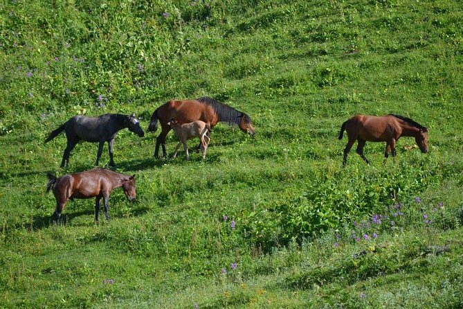 Relaxable and Knowledgeable 9 days Tour in Azerbaijan - A Straightforward Look at the Relaxable and Knowledgeable 9 Days Tour in Azerbaijan