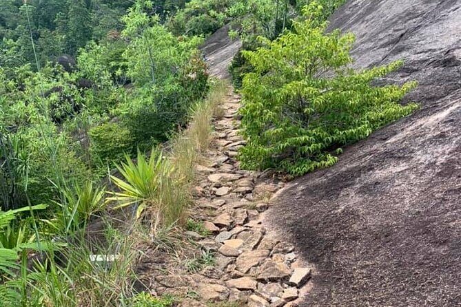 Relaxed hike to Anse Major | Mahe, Seychelles, Great Private Tour - The Value of This Private Tour