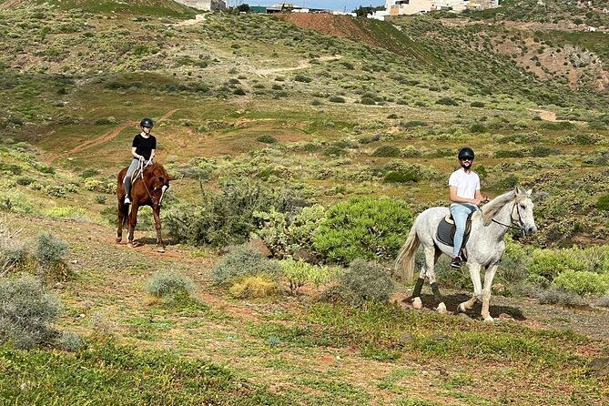 relaxing-horse-riding-tour-in-gran-canaria-4