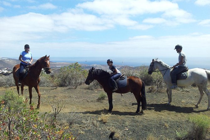 relaxing-horse-riding-tour-in-gran-canaria