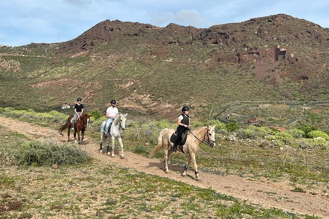 relaxing-horse-riding-tour-in-gran-canaria
