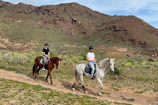 relaxing-horse-riding-tour-in-gran-canaria