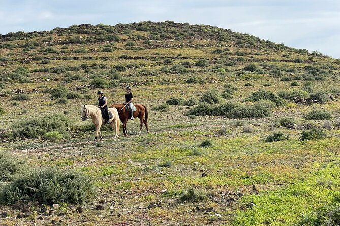 relaxing-horse-riding-tour-in-gran-canaria