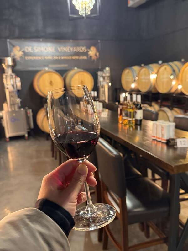 relaxing-lunch-wine-tour-through-niagaras-wine-country