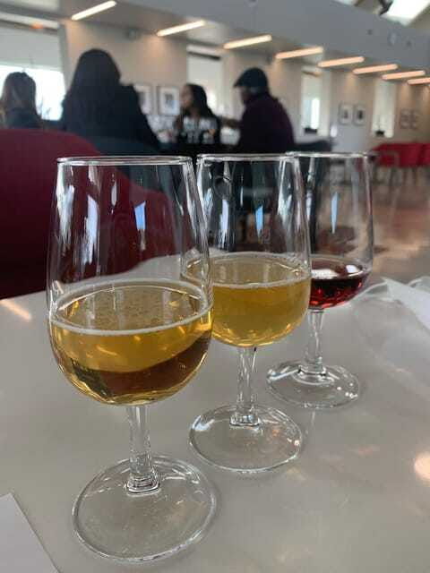 relaxing-lunch-wine-tour-through-niagaras-wine-country