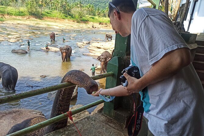 Reliable Airport Transfers and Tours in Sri Lanka - What to Expect on Your Journey