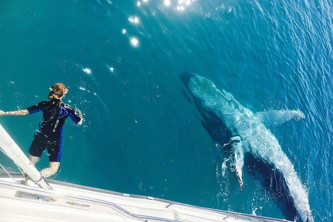 Remote K'gari (Fraser Island) & Whale Experience - An In-Depth Look at the Tour Experience