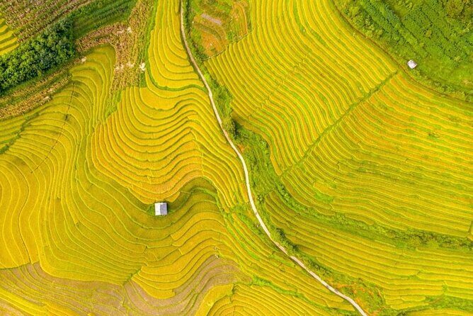 Remote Sapa Tour in Countryside of Nam Cang  Nam Nhiu Villages - Key Points