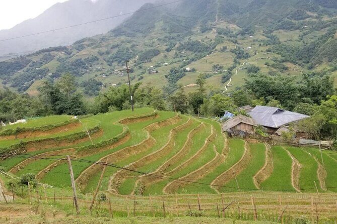 Remote Sapa Tour in Countryside of Nam Cang  Nam Nhiu Villages - Who Will Love This Tour?