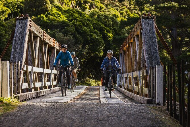 Remutaka Rail Trail Mountain Bike Explorer Cycle Tour - An In-Depth Look at the Experience