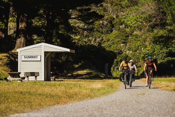 Remutaka Rail Trail Mountain Bike Explorer Cycle Tour - Final Thoughts: Who Will Love This Tour?