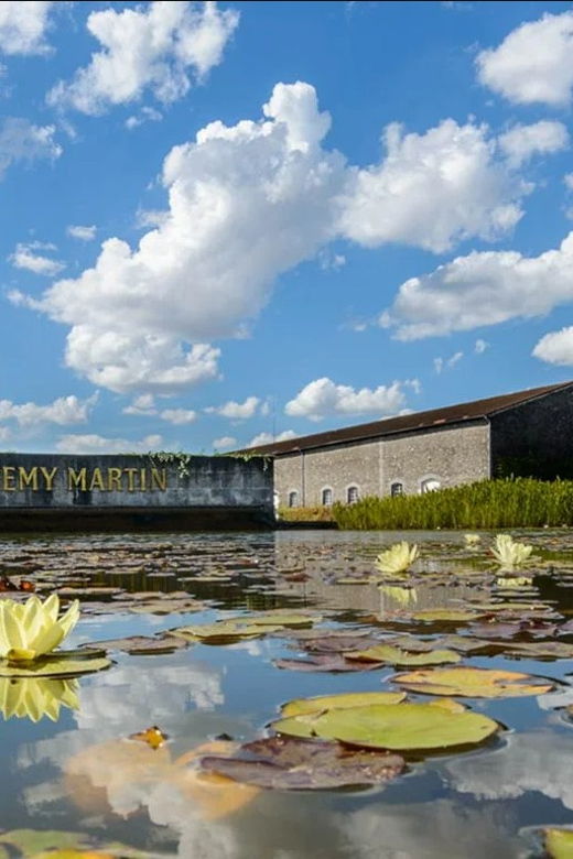 remy-martin-discover-the-production-site-by-train