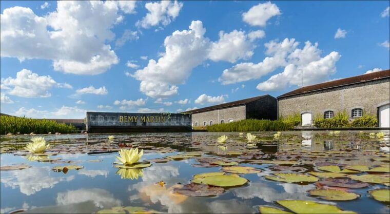 remy-martin-discover-the-production-site-by-train