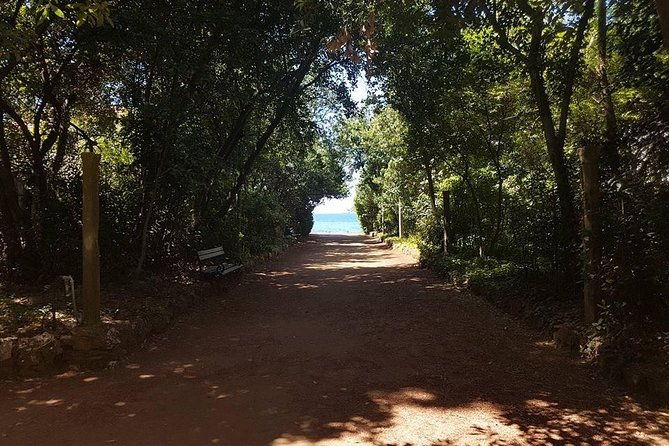 rent-a-speed-boat-and-explore-beaches-and-coves-of-elaphiti-islands