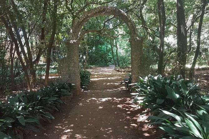 rent-a-speed-boat-and-explore-beaches-and-coves-of-elaphiti-islands