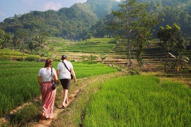 Rent car with speaking English driver in Yogyakarta - FAQs