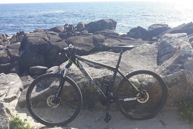 rent-mountain-bike-for-bike-path-old-railway-to-famalicao