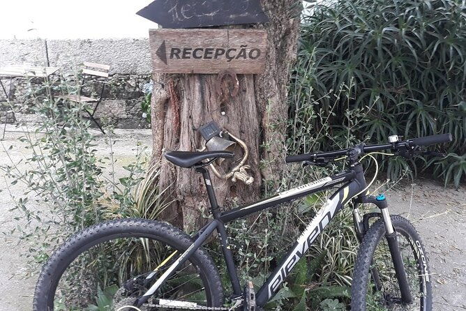 rent-mountain-bike-for-bike-path-old-railway-to-famalicao